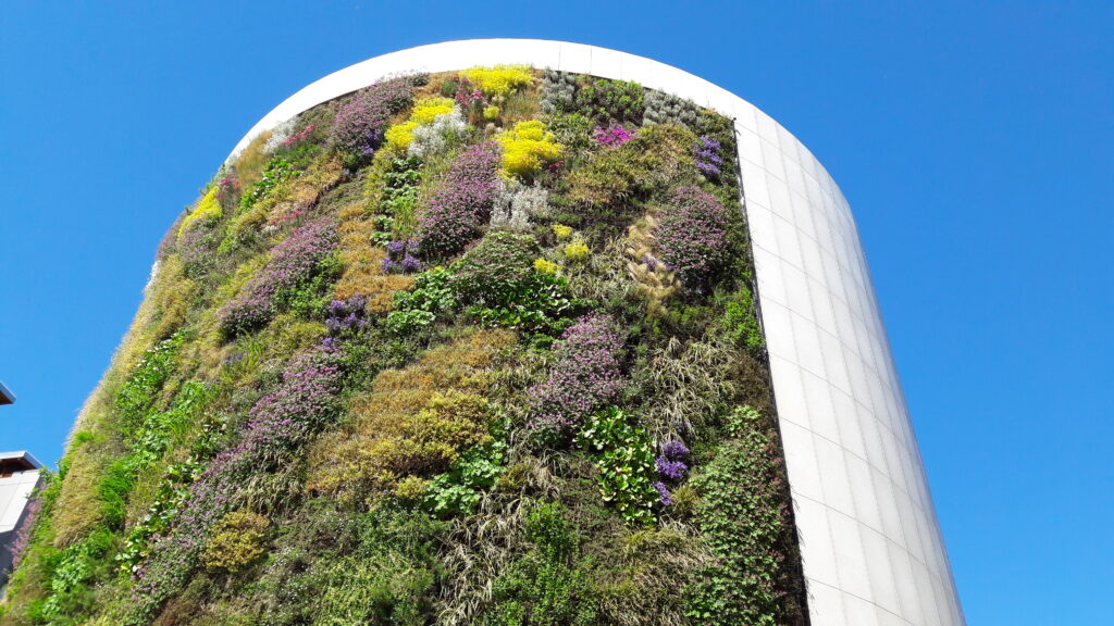 Giardino Verticale3 Giardino Verticale3